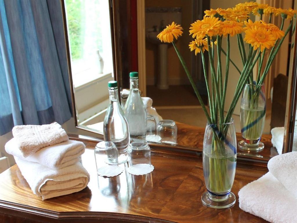 Blossom Hill Bed&Breakfast Killaloe Exteriör bild