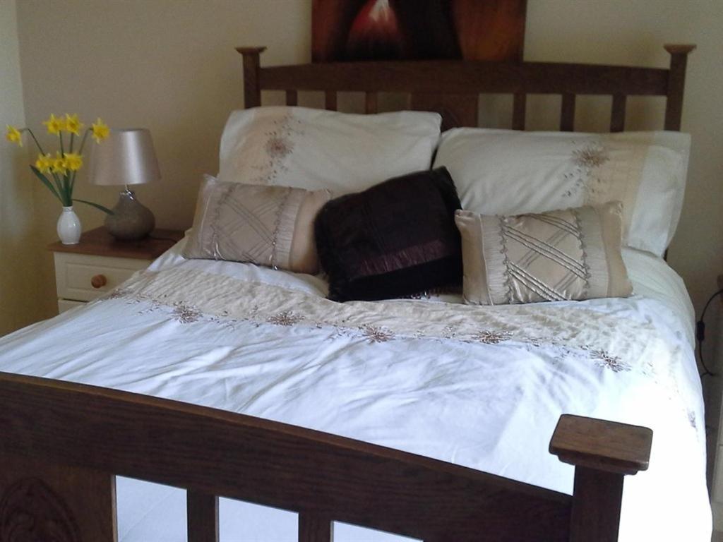 Blossom Hill Bed&Breakfast Killaloe Exteriör bild