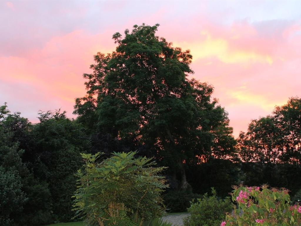 Blossom Hill Bed&Breakfast Killaloe Exteriör bild