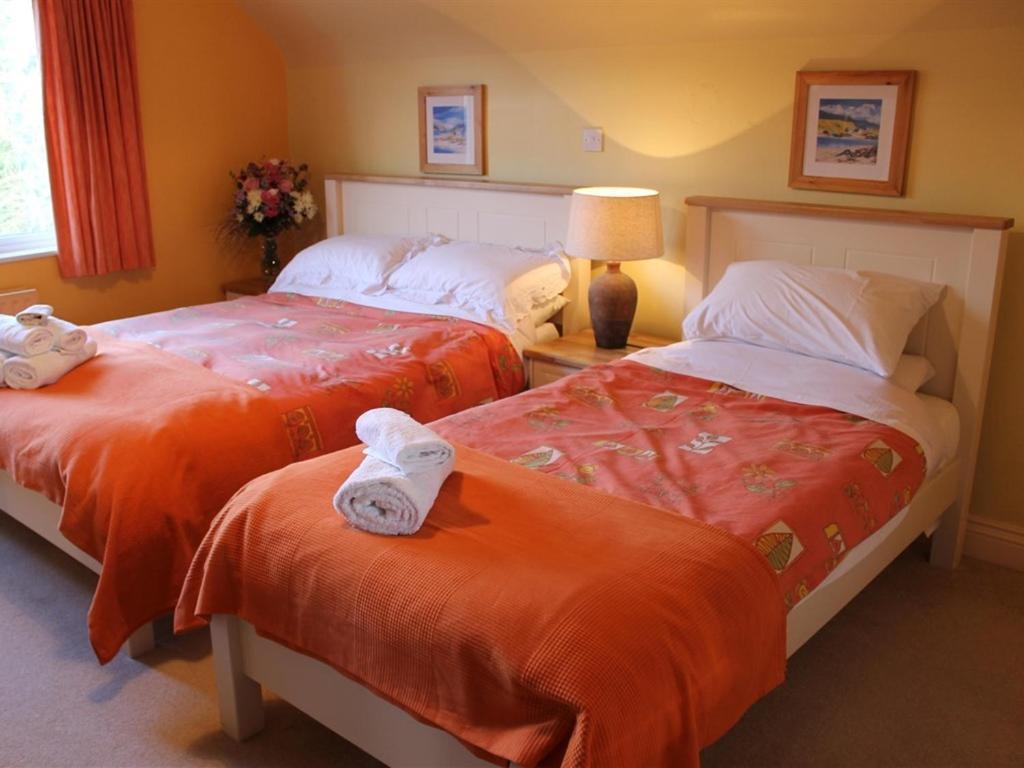 Blossom Hill Bed&Breakfast Killaloe Exteriör bild